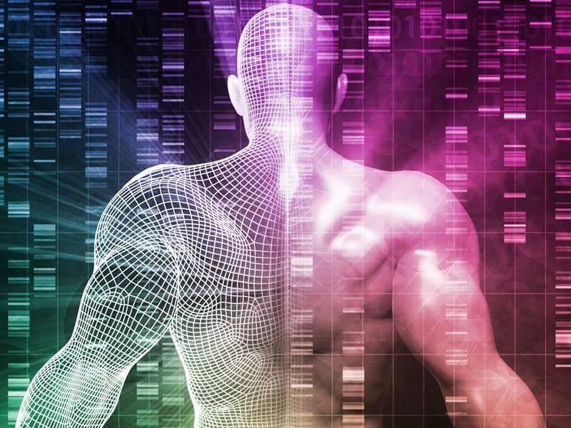 Illustration: Peptides in skin-aging biology models